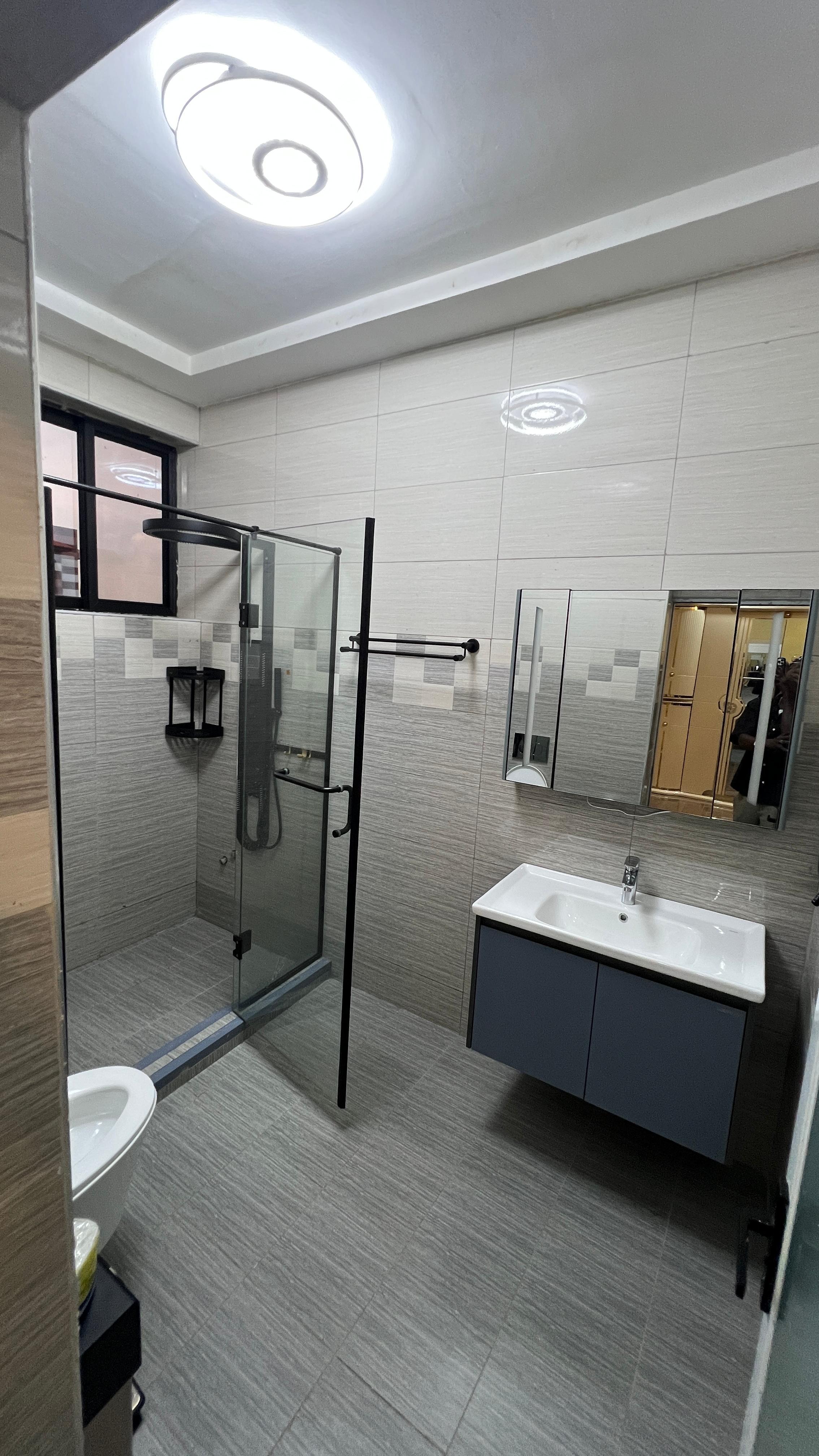 Standard room washroom